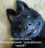 Ярослав Курапов