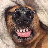 pushin p pushin p pushin p