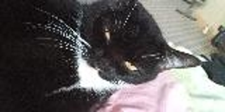 АйдарСуфьянов