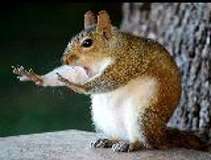 Александр Рожков