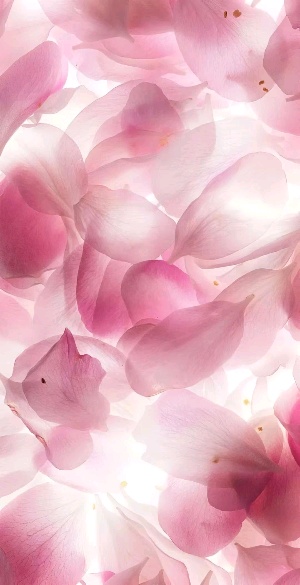 Слабый герой123