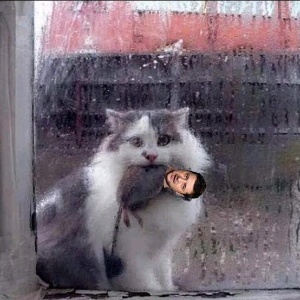 Владимир Тоболич