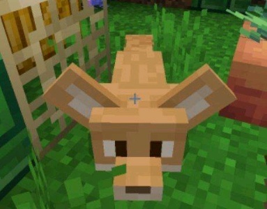 Моё имя санкс