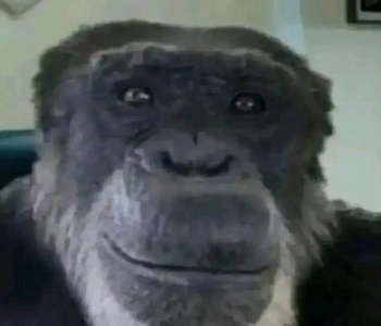 Влад Черкашин