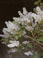 нужно посмотреть сериалы