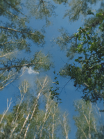 нужно посмотреть фильмы