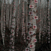 Для любителей ужасов и триллеров