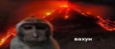 Отборное говно