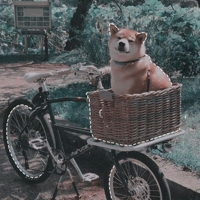 МУЛЬТфильмы