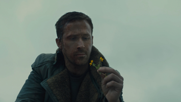 То что надо