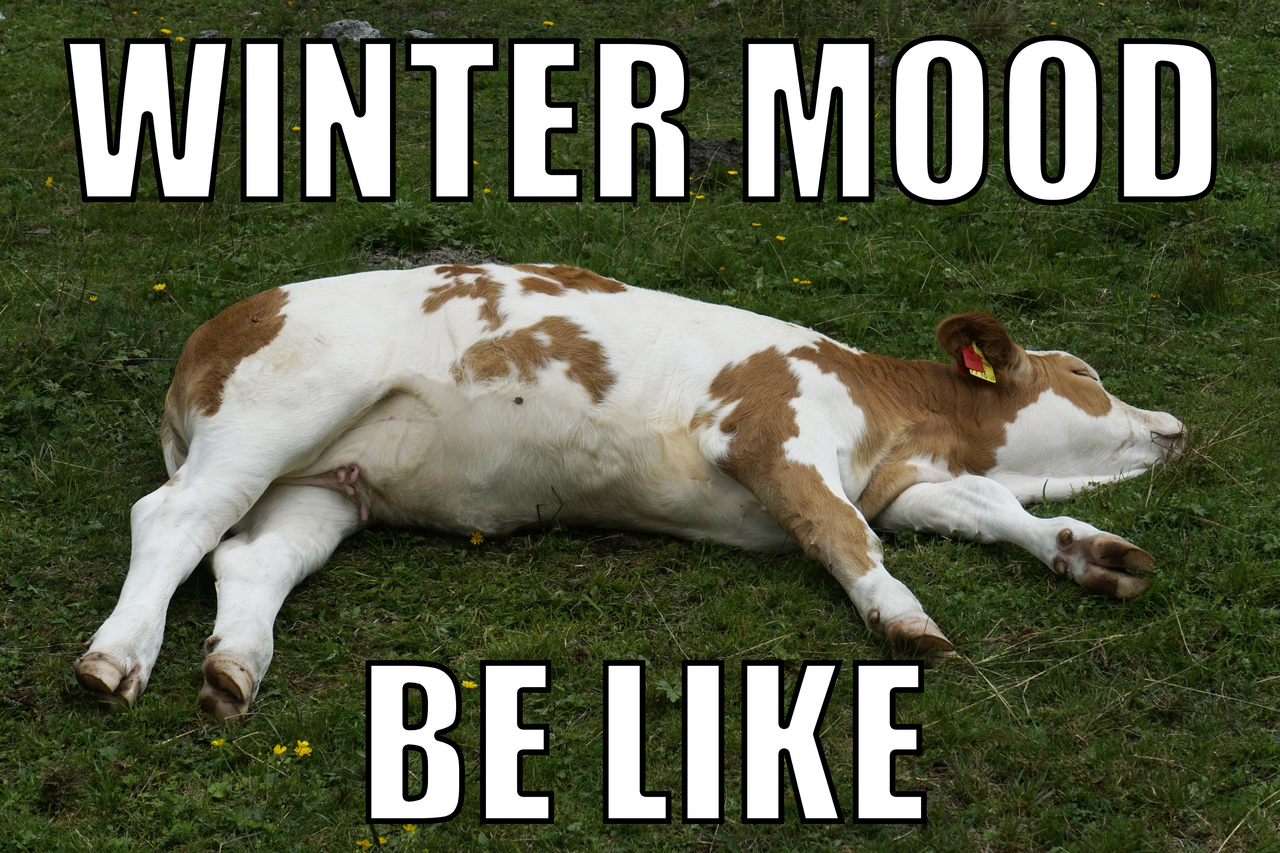 Коллекция Khairustа