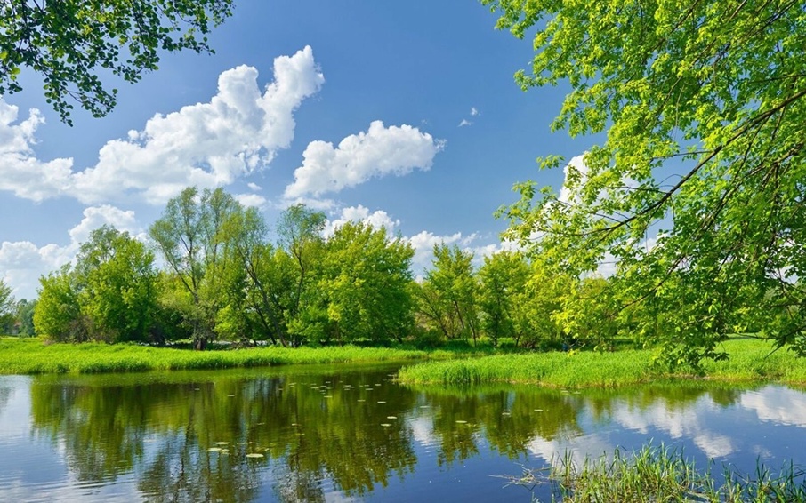 фильмы на лето 2024