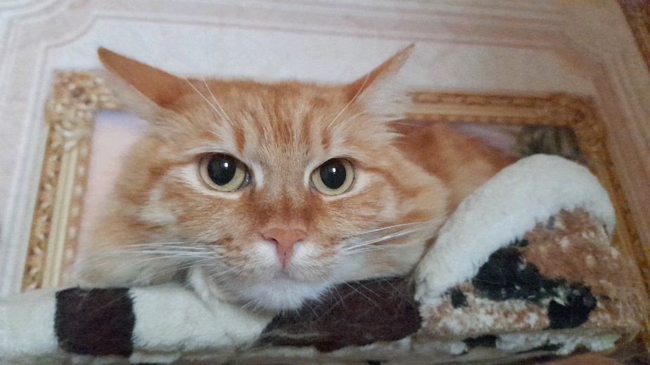 мне понравилось