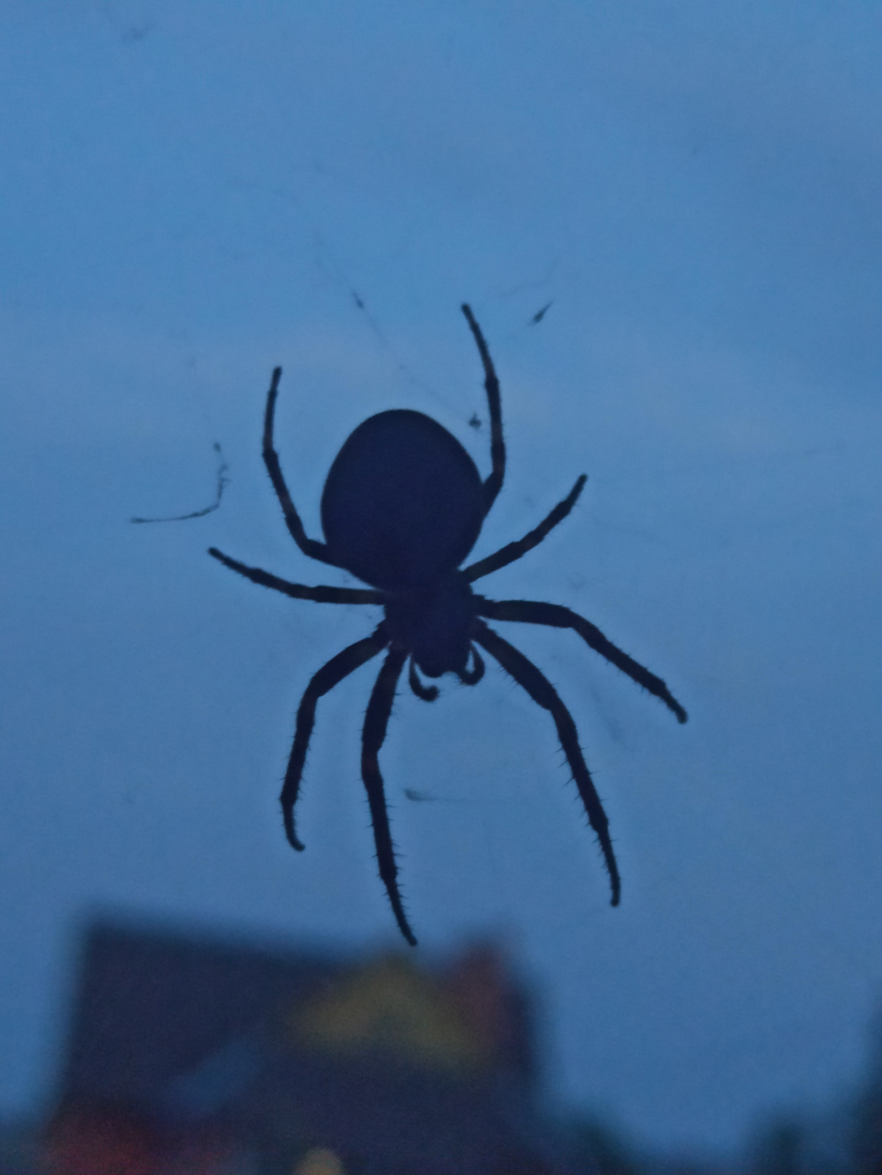 Вселенная Заклятия